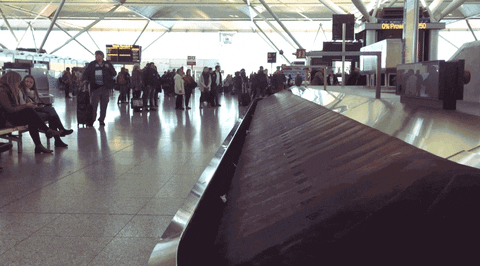 airport baggage terminal