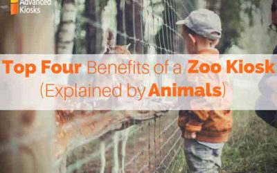 Benefits of a Zoo Kiosk (Explained by Animals)
