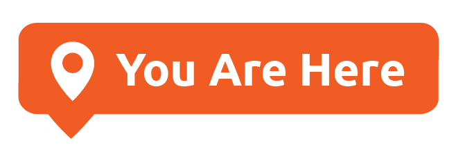 You are here