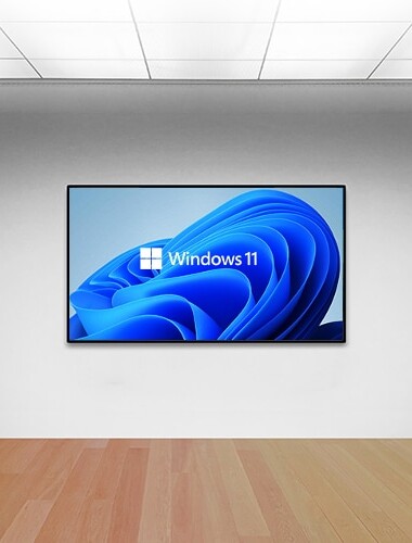 Wall mount touch screen kiosk